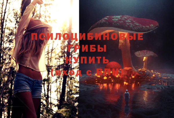 прущая мука Верхний Тагил